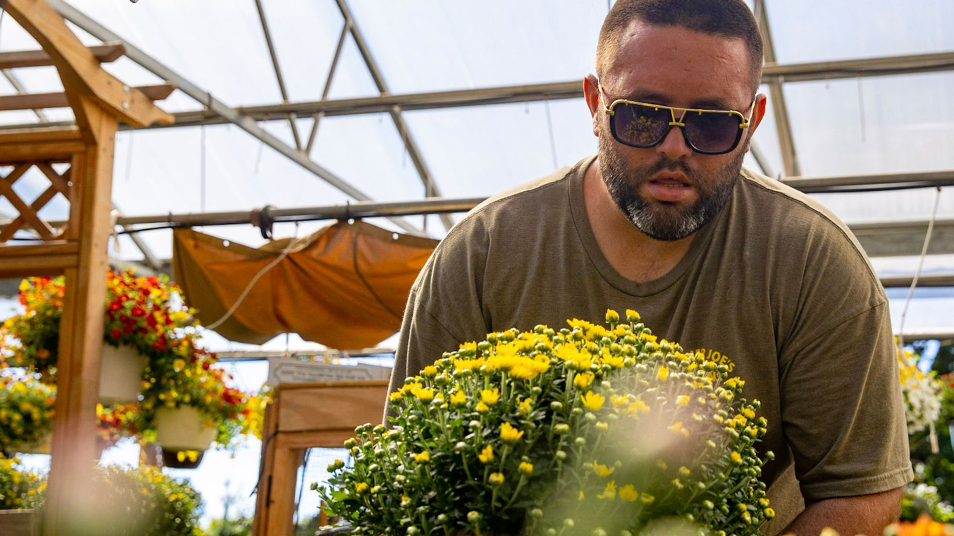 Man wearing sunglasses in greenhouse carefully handling yellow flowers.