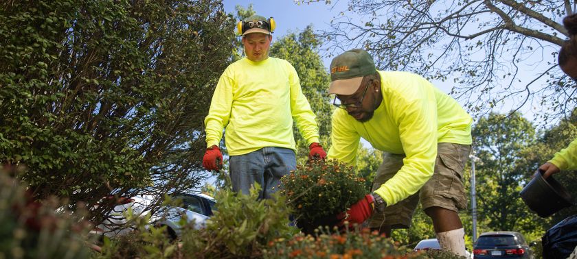 Two male facilities maintenance workers tending to a bush of flowers.